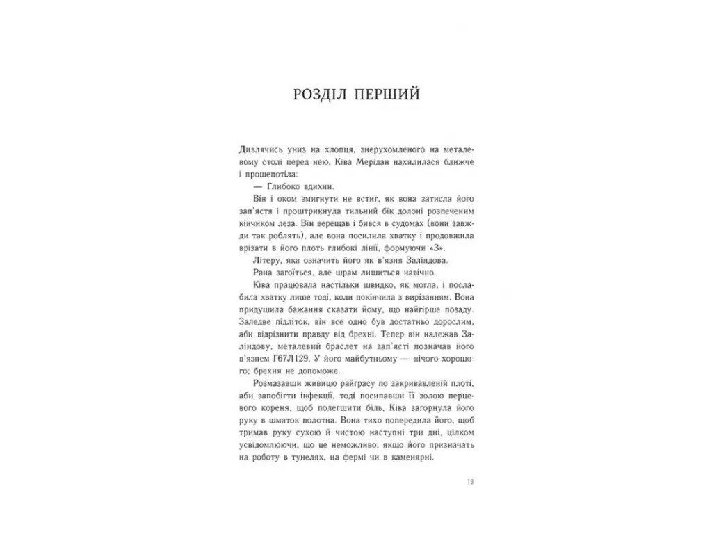 Роман "Тюремна цілителька. Книга 1",  Лінетт Ноні, Readberry