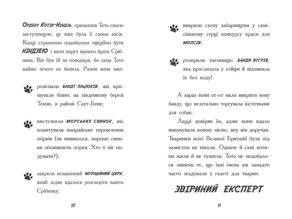 Пригодницький детектив "Тото. Кішка-ніндзя і КОТОстрофа суперзірки" Д. О’Лірі, Ранок