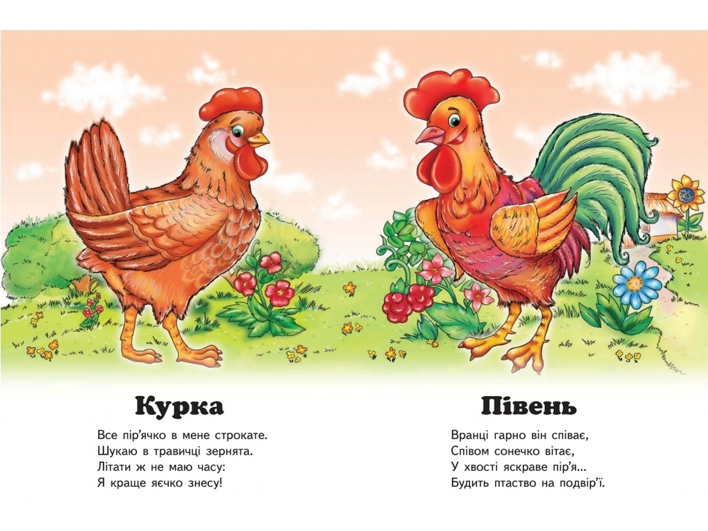 Улюбленим малюкам, Хто це? Півник, Пегас