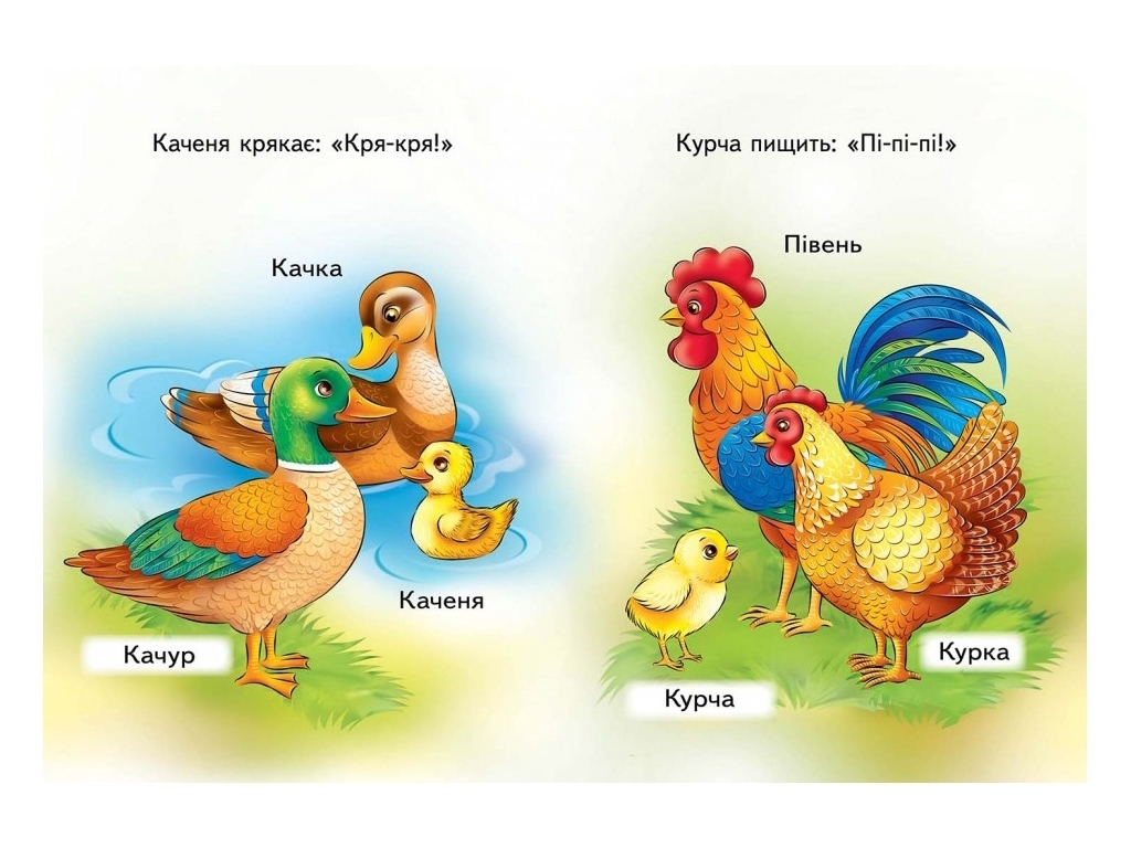 Любимым малышам, Мамы, папы, дети, Пегас