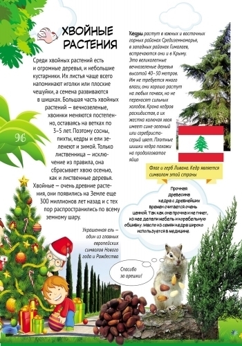 Енциклопедія "Все обо всем", Ранок