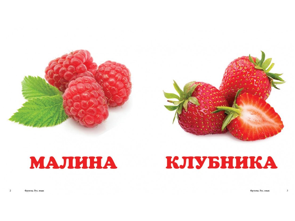 Детская книжка-картонка Окружающий мир, Фрукты Пегас