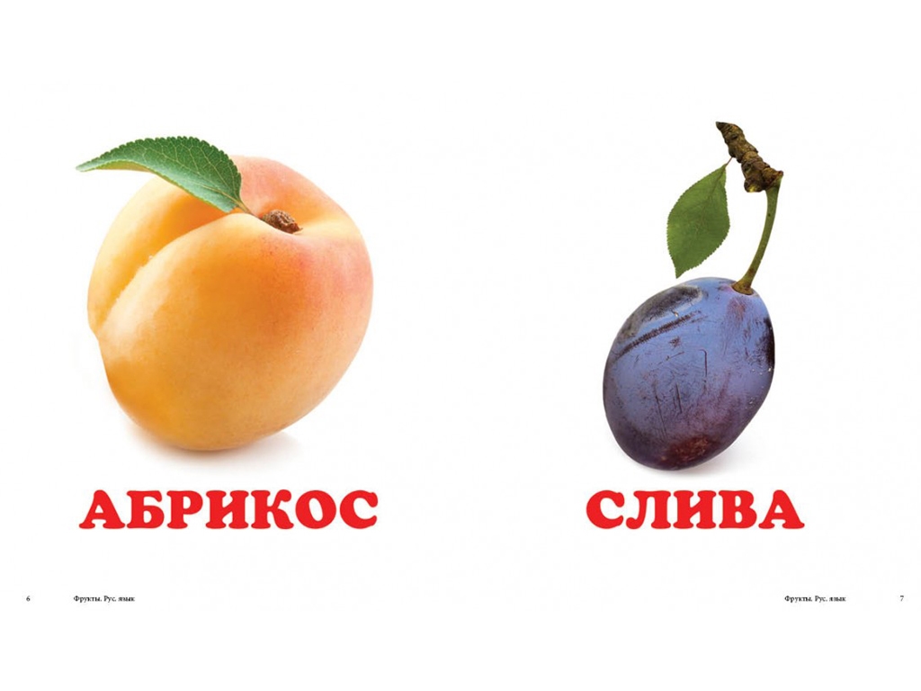 Детская книжка-картонка Окружающий мир, Фрукты Пегас