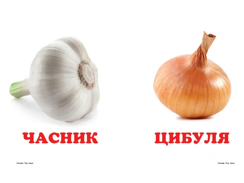 Книга-малышка "Овощи", укр. и англ. слово, Пегас