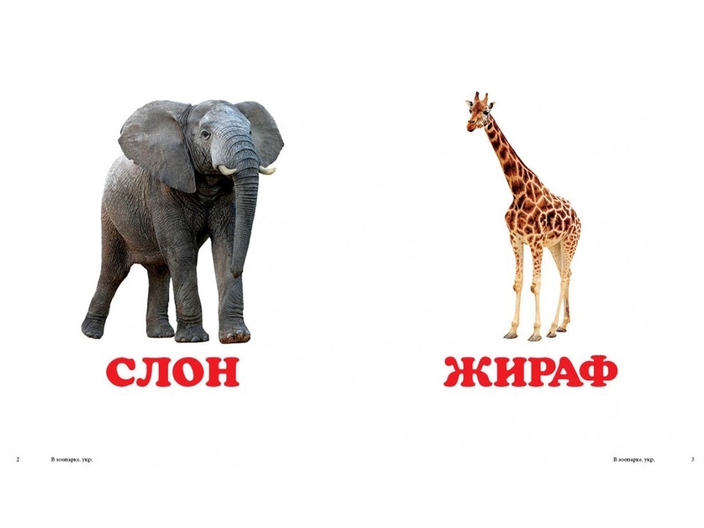 Книга-картонка "В зоопарке", серия Окружающий мир, 20 страниц, 1+, Пегас