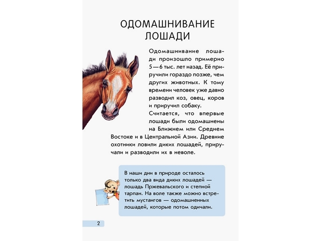 Міні-енциклопедія "Всё о лошадях", 4-6 років, Ранок