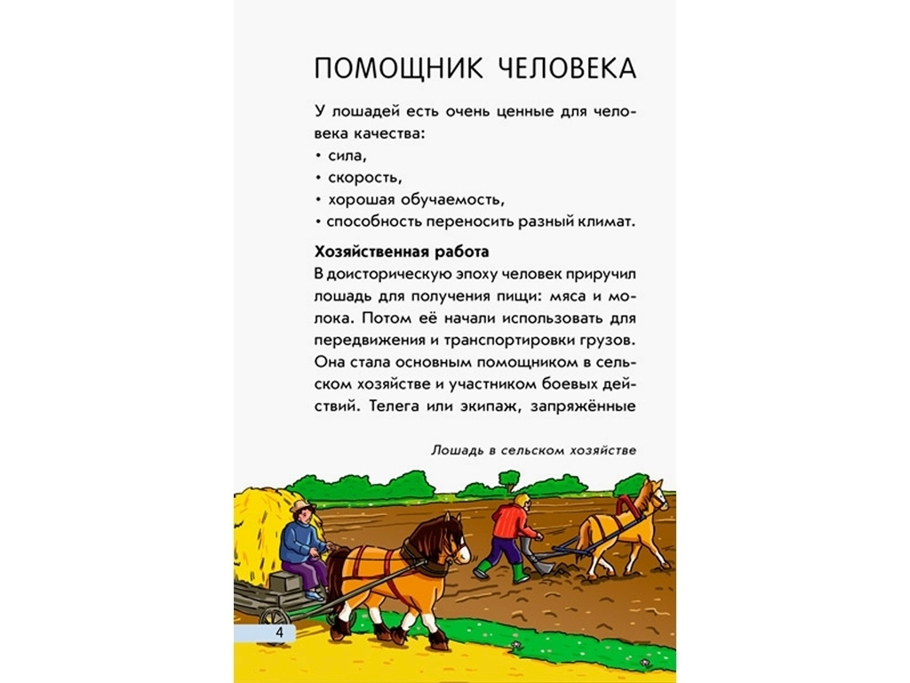 Міні-енциклопедія "Всё о лошадях", 4-6 років, Ранок