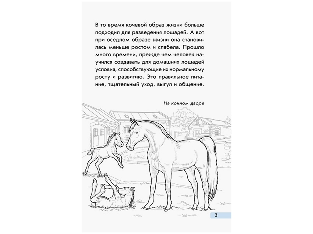 Міні-енциклопедія "Всё о лошадях", 4-6 років, Ранок