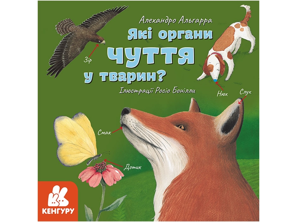 Энциклопедия "Какие органы чувств у животных", 6–8 лет, Алехандро Альгарра, Кенгуру