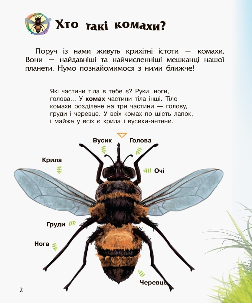 Энциклопедия дошкольника Насекомые, Ранок