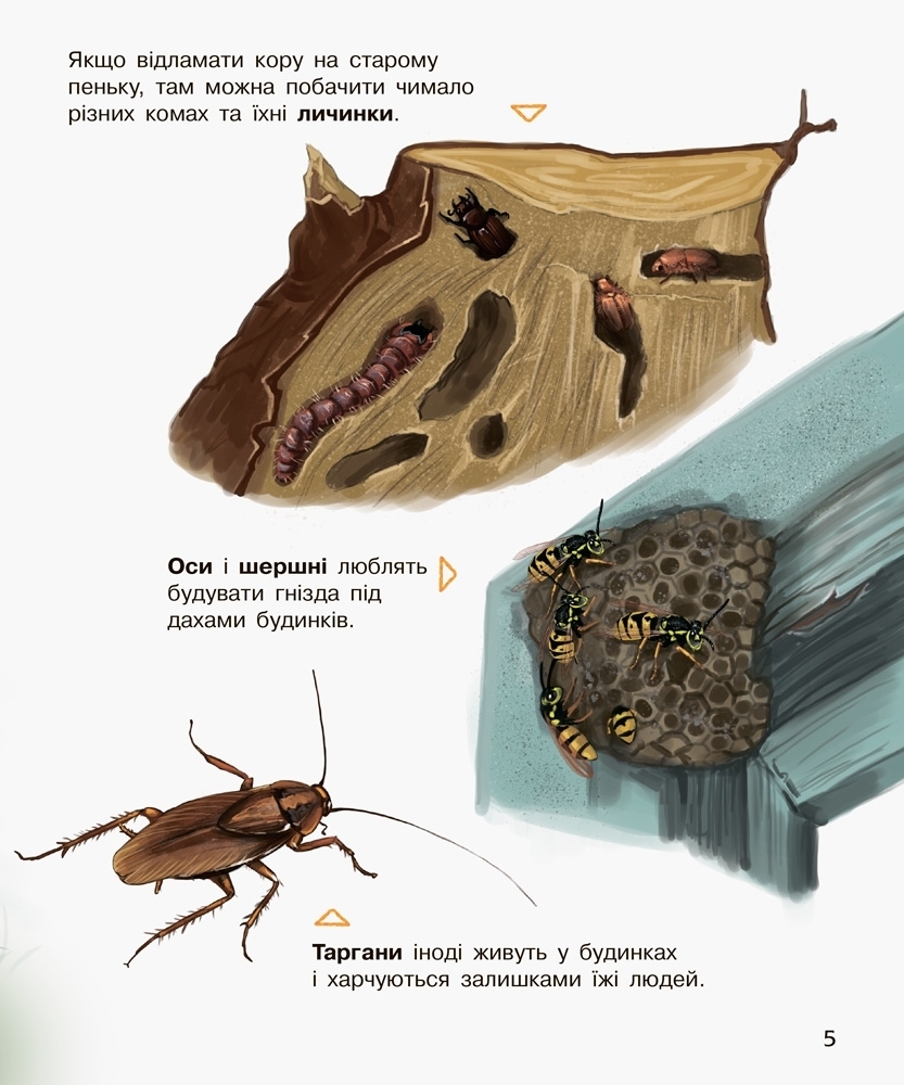 Энциклопедия дошкольника Насекомые, Ранок