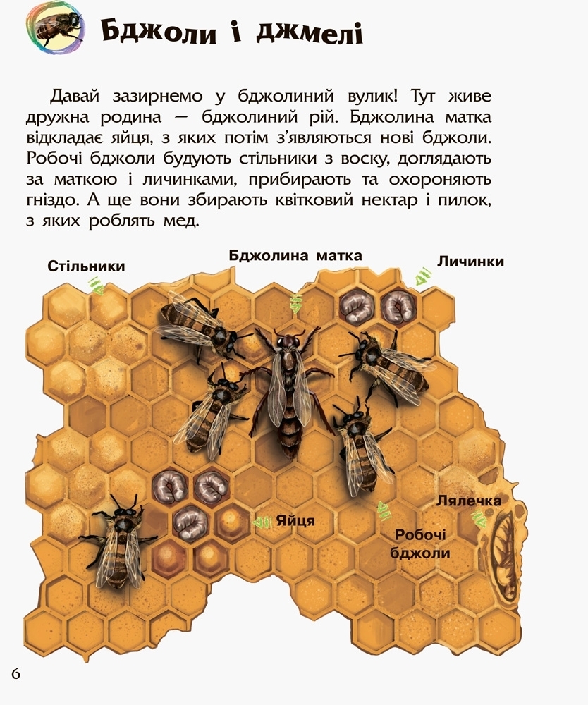 Энциклопедия дошкольника Насекомые, Ранок