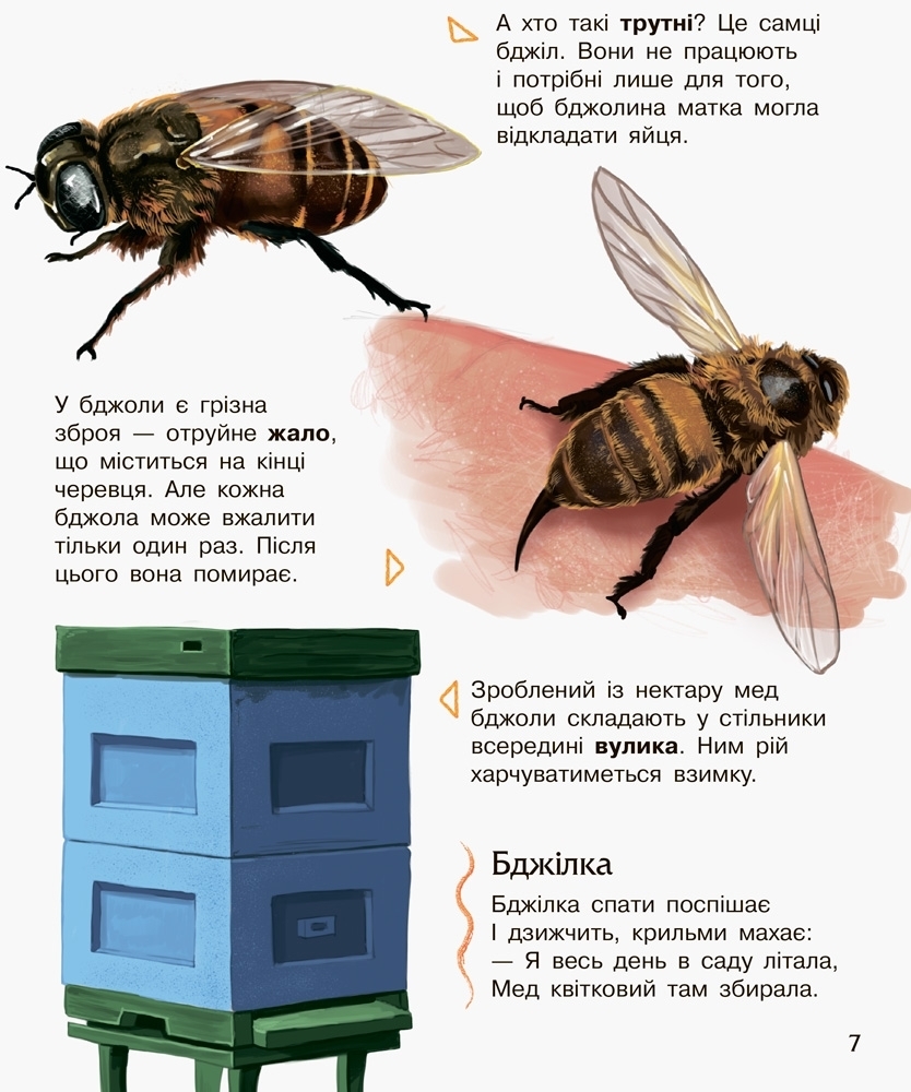Энциклопедия дошкольника Насекомые, Ранок