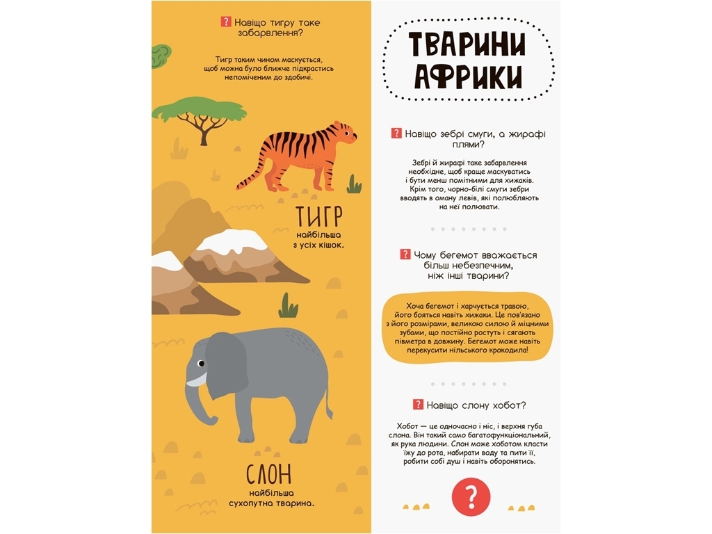 Энциклопедия "В мире животных. Моя первая энциклопедия", 6–8 лет, О. Ольховская, Кенгуру