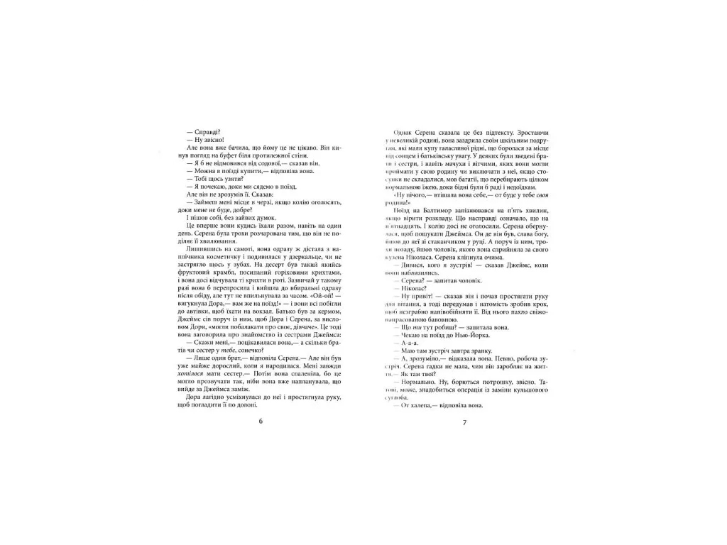 Роман "Плетеный колосок", Энн Тайлер, Фабула