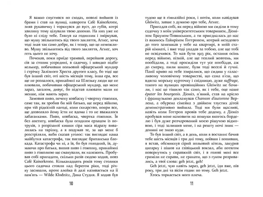 Роман "Повиновение", Щепан Твардох, Фабула