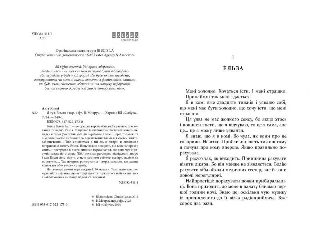 Роман "Я здесь", Авит Клели, Фабула
