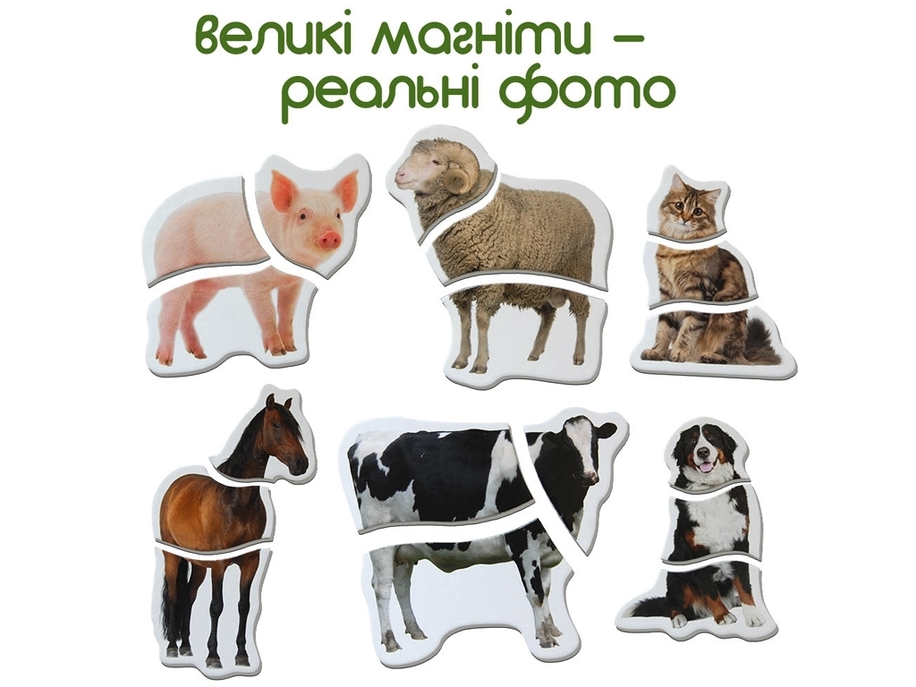 Магнітні пазли Farm. Magdum ML4031-19 EN
