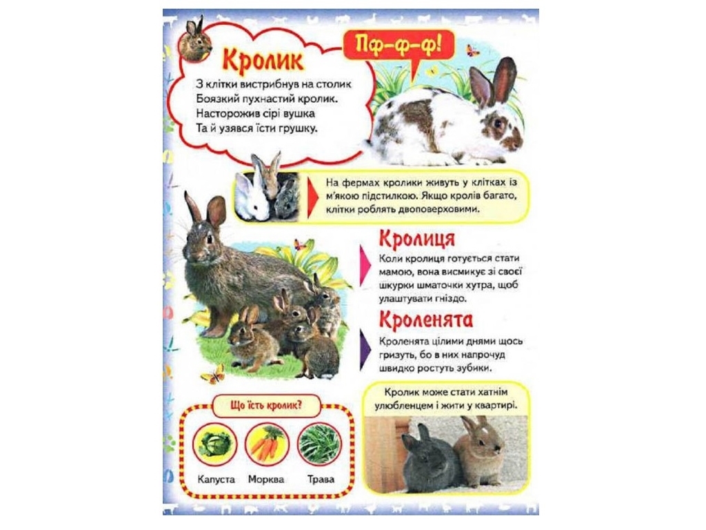 Картонная энциклопедия "Моя первая книга о домашних животных", 2–6 лет, Пегас