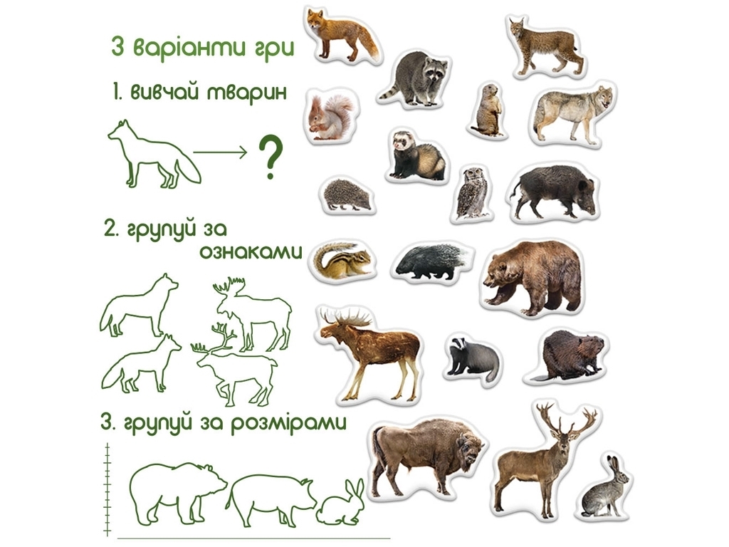 Набор магнитов Forest photo. Magdum ML4031-29 EN
