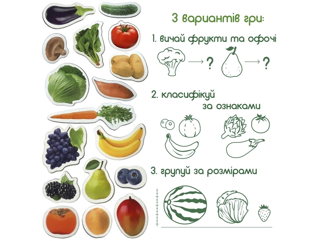 Набор магнитов Fruits and vegetables. Magdum ML4031-15 EN