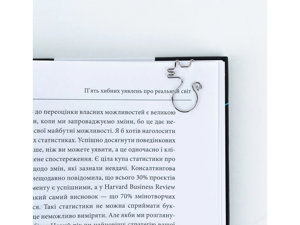 Набор магнитных закладок с фигурными скрепками Cat, Kite