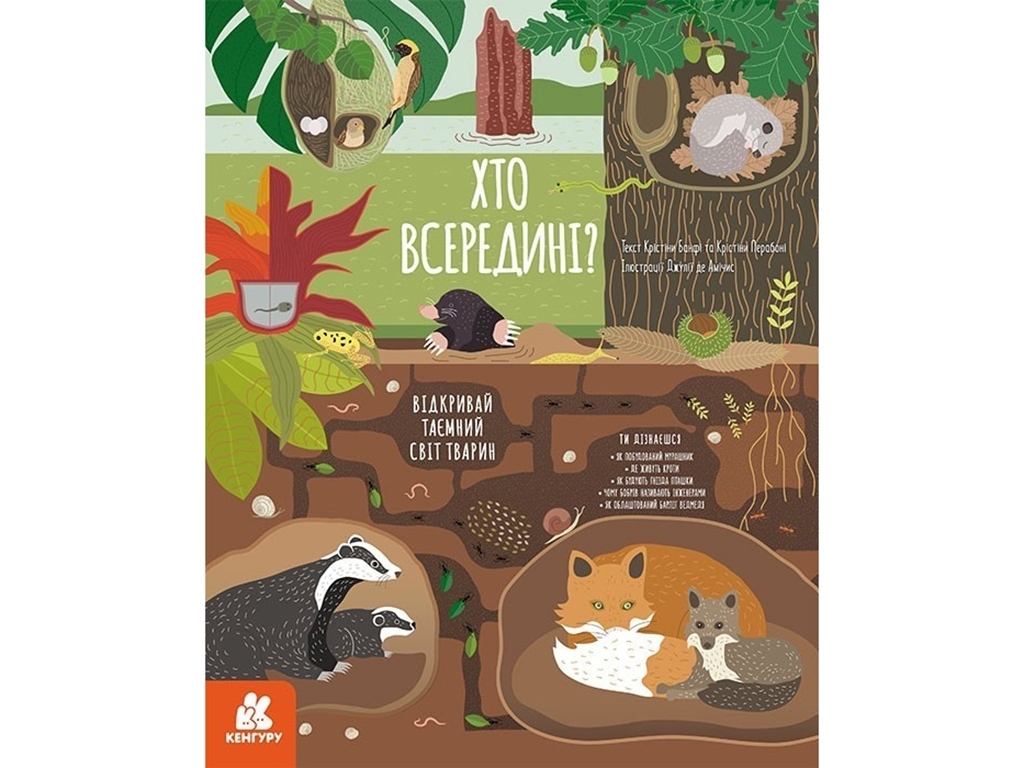 Книга "Кто внутри? Загляни в домики животных", Кристина Банфи, Кенгуру