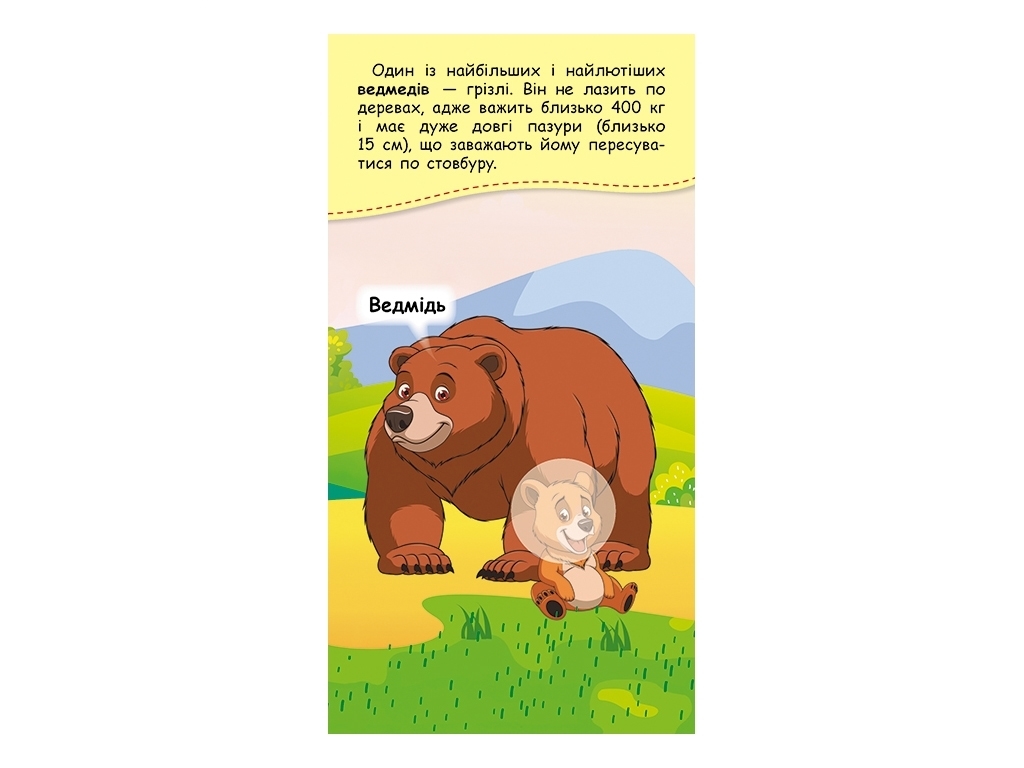 Книжка з наліпками "Де чий малюк", 3-6 років, Кенгуру