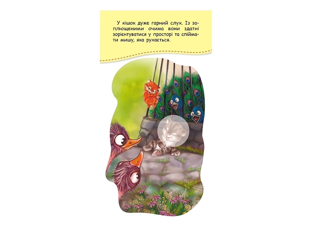 Книга с наклейками "Котята-затейники", серия Книга в карман, 3+, Кенгуру