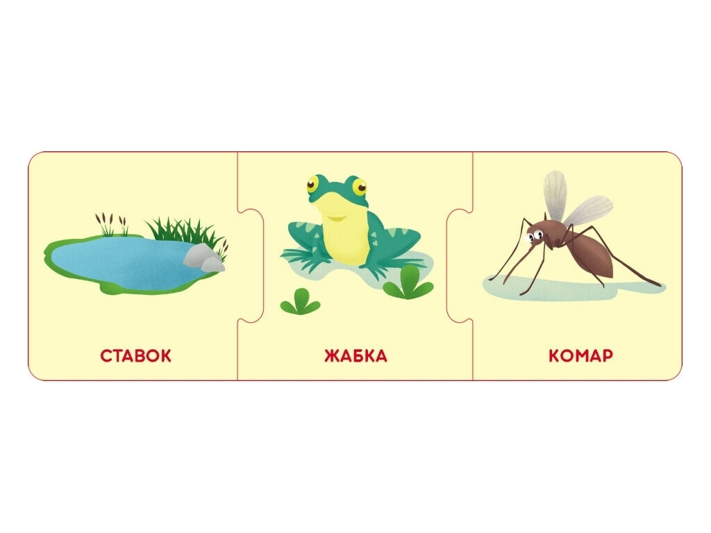 Логічні ланцюжки, Світ тварин, Хто де живе і що їсть, Кенгуру