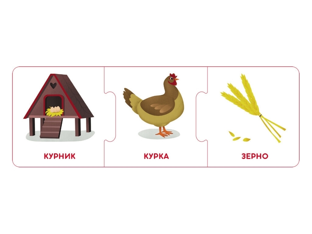 Логічні ланцюжки, Світ тварин, Хто де живе і що їсть, Кенгуру
