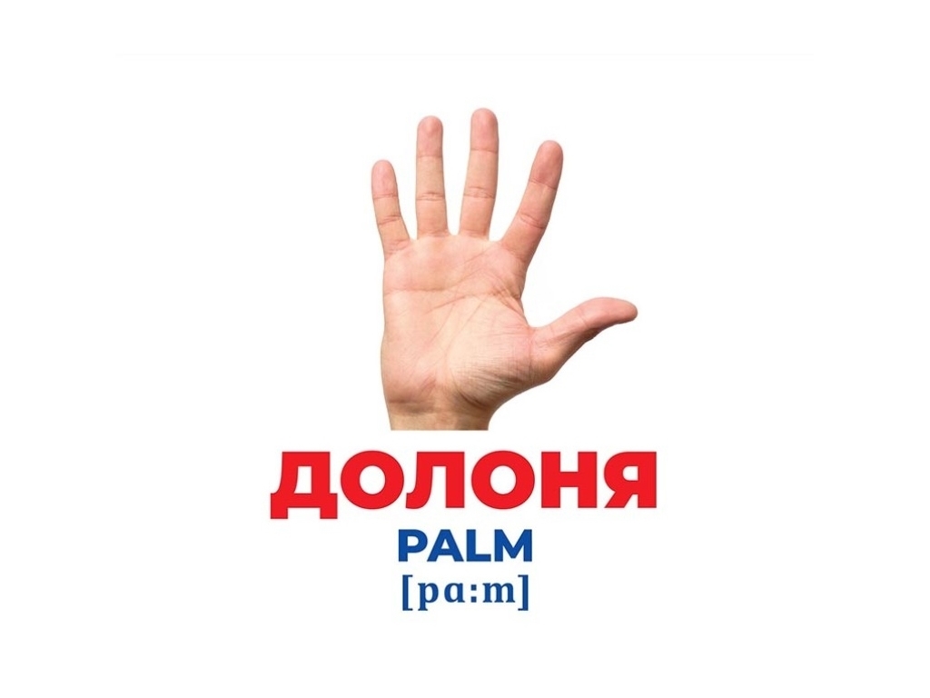 Геній з пелюшок, Будова тіла