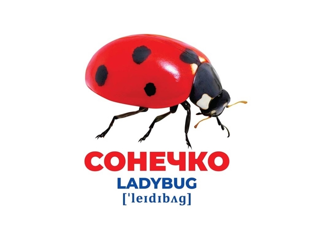 Геній з пелюшок, Комахи
