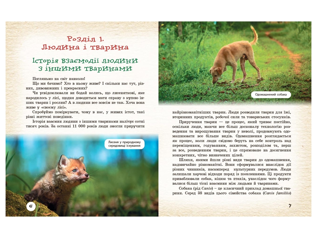 Посібник "Тварини навколо нас", 7 клас, С. Л. Огіренко, Р. Р. Трохимчук, "Ранок"