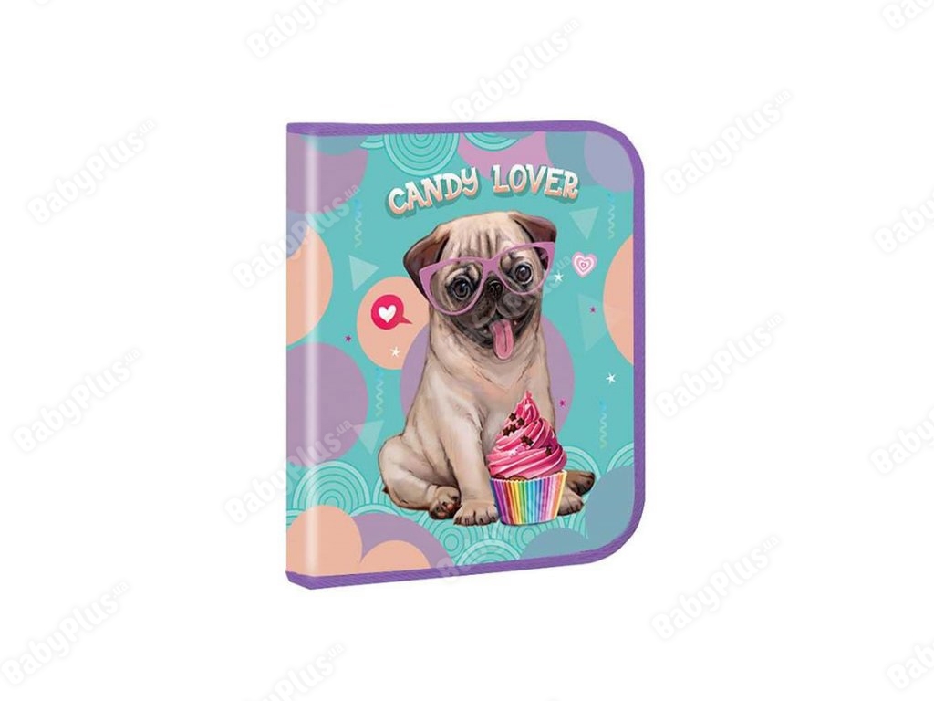 Папка для зошитів В5 картонна Candy lover, Kidis 14057