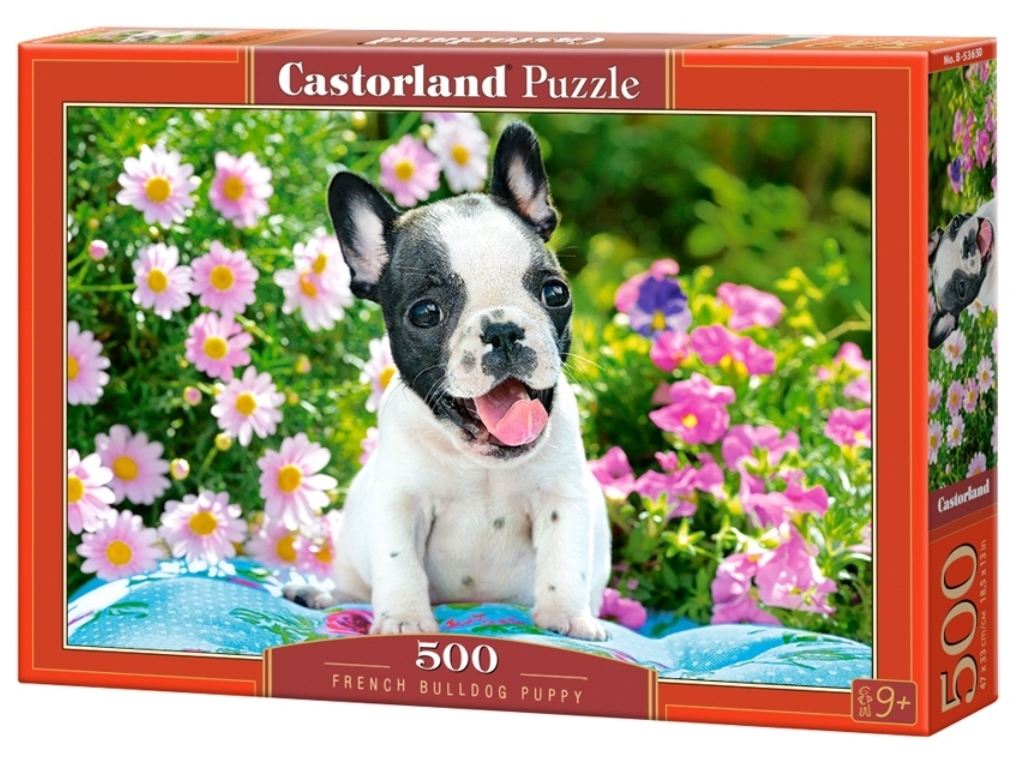Пазлы French Bulldog Puppy, 500 элементов, Castorland B-53650