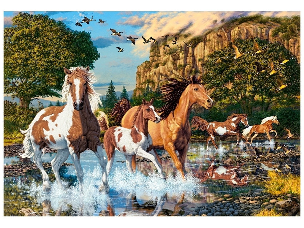 Пазлы Horse Wonderland, 1000 элементов, Castorland