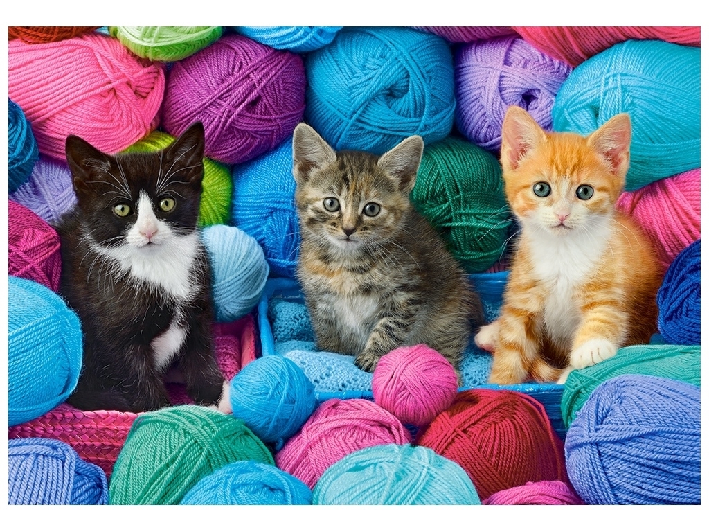 Пазлы Kittens In Yarn Store, 1000 элементов, Castorland