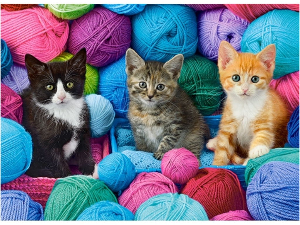 Пазлы Kittens в Yarn Store, 300 элементов, Castorland B-030477