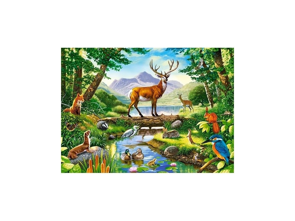 Пазлы Лесная гармония 300 элементов, Castorland B-030408
