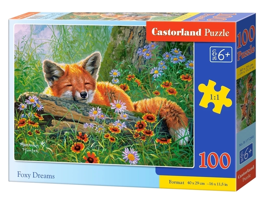 Пазли Лисячі мрії, 100 елементів, Castorland