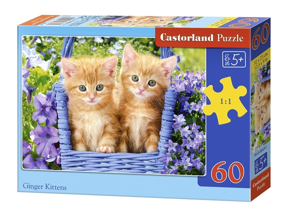 Пазлы Рыжие котята, 60 элементов, Castorland