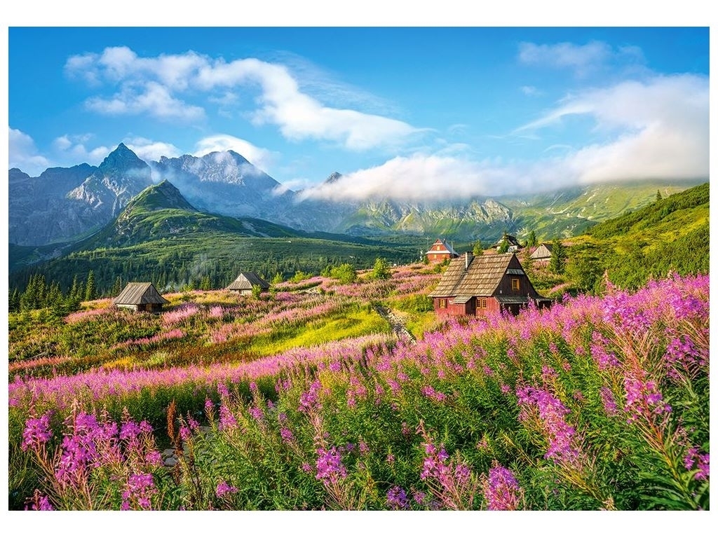 Пазлы Татры, Польша 1000 элементов, Castorland