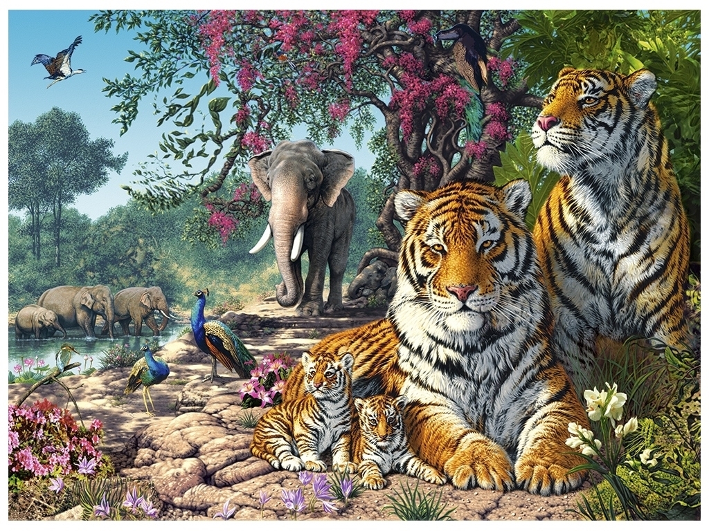 Пазли Tiger Sanctuary, 3000 елементів, Castorland