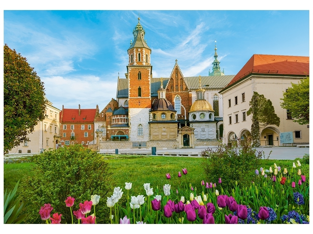 Пазли Wawel Castle in Krakov, Польща, 500 елементів, Castorland  B-53599