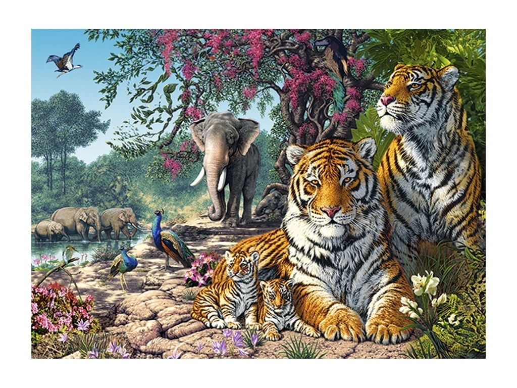 Пазлы Заповедник тигров, 300 элементов, Castorland B-030484
