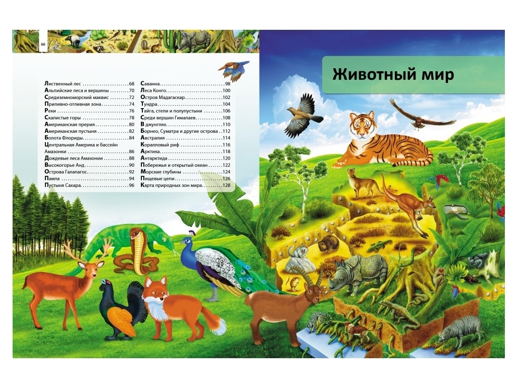Ілюстрована енциклопедія «Я і світ навколо мене. Космос. Природа., Пегас