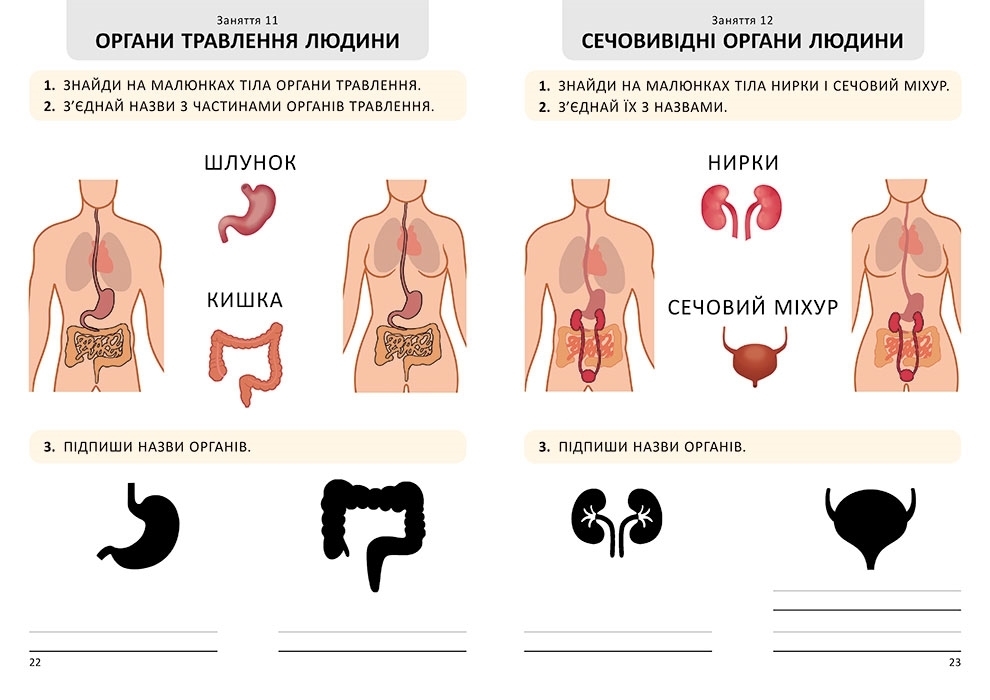Робочий зошит "Я дорослішаю. Статеве виховання", крок 2, Н. Ніконенко, В. Шевченко, Кенгуру