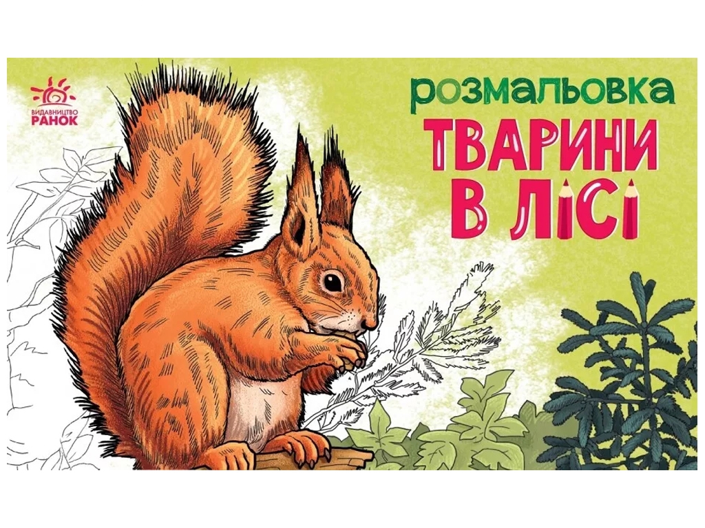Розмальовка "Тварини в лісі", Ранок