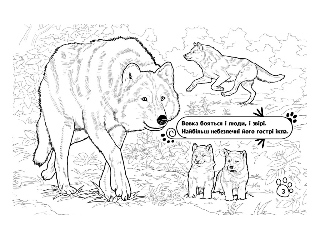 Розмальовка "Тварини в лісі", Ранок